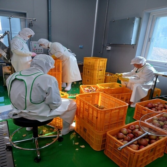 곰배령농산물,(산지직송) 인제 새콤달콤 부사 사과즙 30포