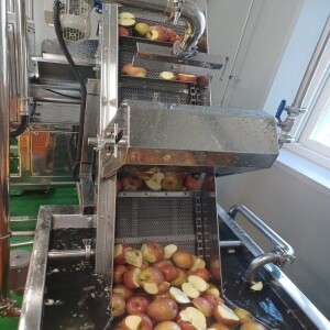 곰배령농산물,(산지직송) 인제 새콤달콤 부사 사과즙 30포